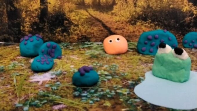Stop motion Mûres et mare.jpg